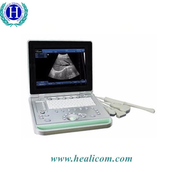 Machine d'échographie d'écho vétérinaire d'Euipment d'ultrason vétérinaire portatif d'ordinateur portable HV-9