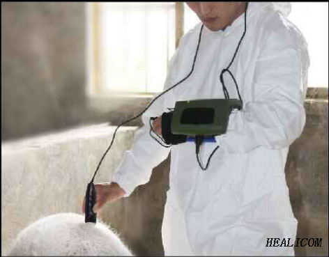 Scanner à ultrasons de machine à ultrasons vétérinaire portable entièrement numérique le moins cher pour la grossesse