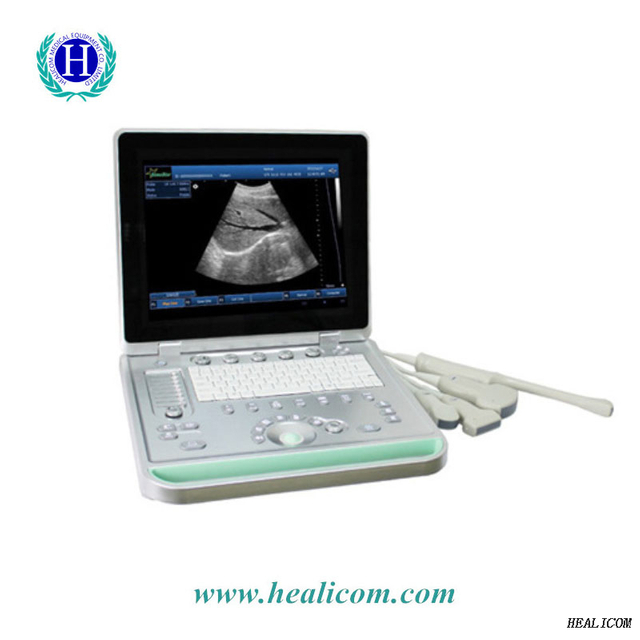 Ultrason portatif de vétérinaire de scanner d'ultrason vétérinaire de paume tenu dans la main de HV-9 Full Digital B/W
