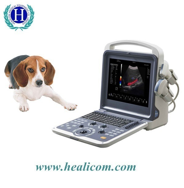 Scanner d'échographie portatif de vétérinaire Doppler couleur numérique de diagnostic médical HVET-10